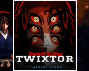 Kokushibo Twixtor