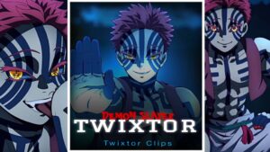 Akaza Twixtor