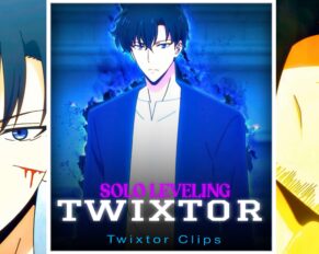 Sung Jinwoo vs Ryuji Goto Twixtor