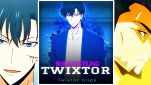 Sung Jinwoo vs Ryuji Goto Twixtor