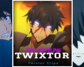 Sung Jinwoo Twixtor