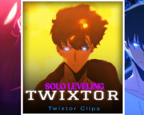 Sung Jinwoo vs Beru Twixtor