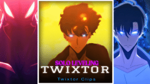 Sung Jinwoo vs Beru Twixtor