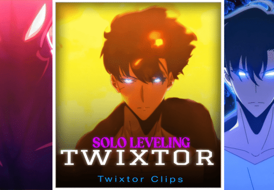 Sung Jinwoo vs Beru Twixtor