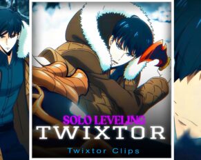 Sung Jinwoo vs Baruka Twixtor