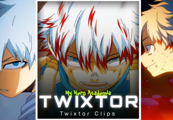 Toya Todoroki TwixtoR
