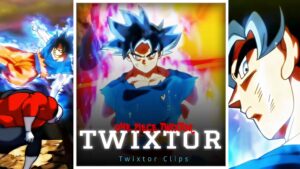 Goku Ultra Instinct Twixtor