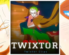 Zoro EggHead Twixtor