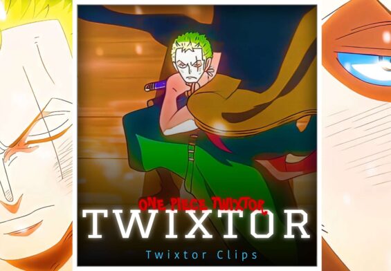 Zoro EggHead Twixtor