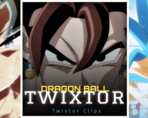 Vegito vs Zamasu Twixtor