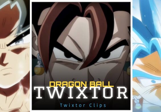 Vegito vs Zamasu Twixtor