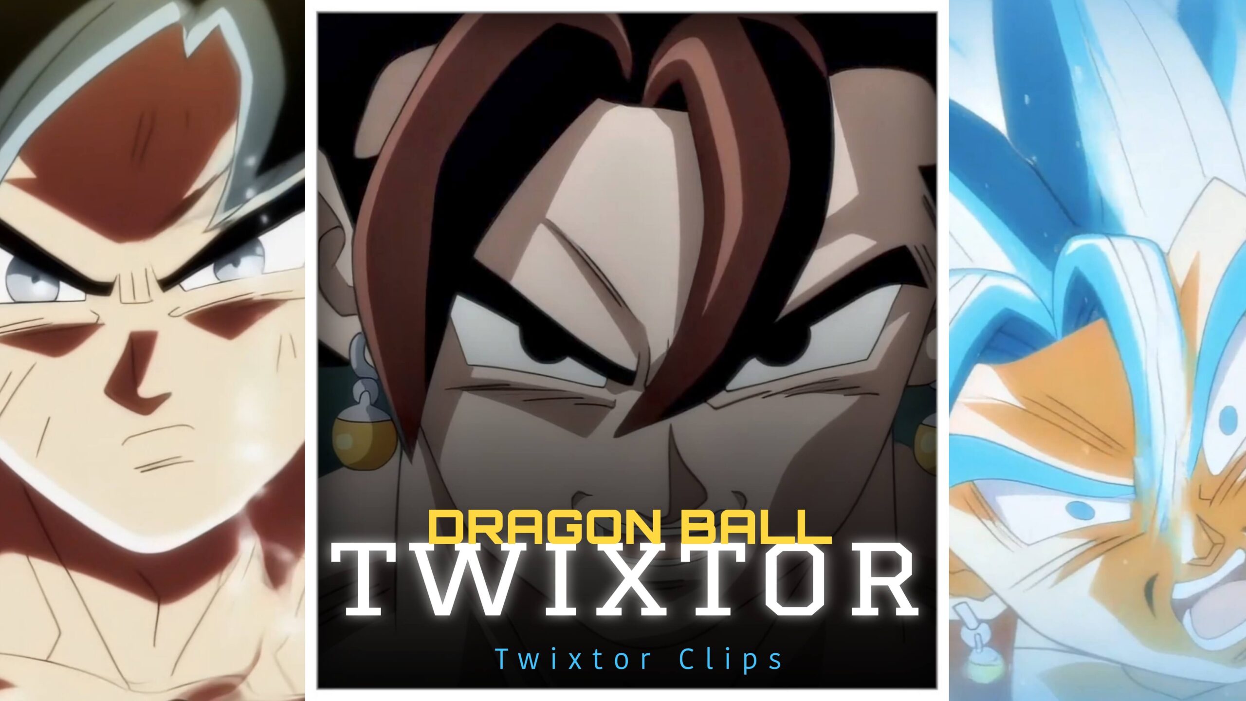 Vegito vs Zamasu Twixtor