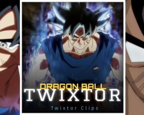 Goku Twixtor Clips
