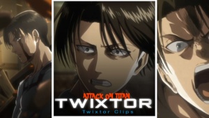 Levi Twixtor