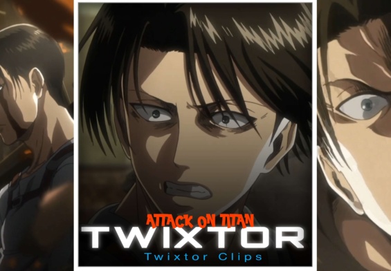 Levi Twixtor