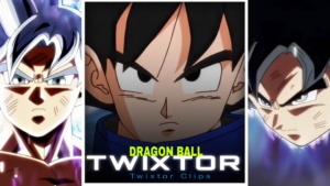 Goku Twixtor 4K