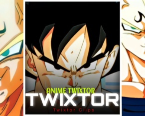 Son Goku Twixtor